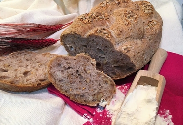 PANE CASERECCIO CON NOCI E SEMI DI GIRASOLE