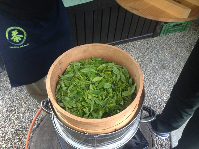 IL TE’ VERDE DELLA COMPAGNIA DEL LAGO MAGGIORE