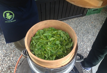 IL TE’ VERDE DELLA COMPAGNIA DEL LAGO MAGGIORE