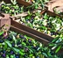 BONAMINI: OLIO EXTRAVERGINE D’OLIVA DI TRADIZIONE