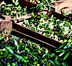 BONAMINI: OLIO EXTRAVERGINE D’OLIVA DI TRADIZIONE