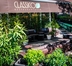 CLASSICO TRATTORIA & COCKTAIL FESTEGGIA 15 ANNI