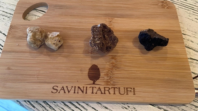 CACCIA AL TARTUFO IN TOSCANA: COS'E' E DOVE GUSTARLO