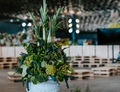 Euroflora a Genova: 24 aprile – 4 maggio