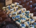 SCIOCOLÀ A MODENA: FESTIVAL DEL CIOCCOLATO ARTIGIANALE