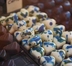 SCIOCOLÀ A MODENA: FESTIVAL DEL CIOCCOLATO ARTIGIANALE