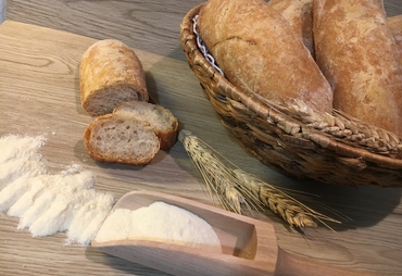 BAGUETTE FRANCESE CON PASTA MADRE LIOFILIZZATA