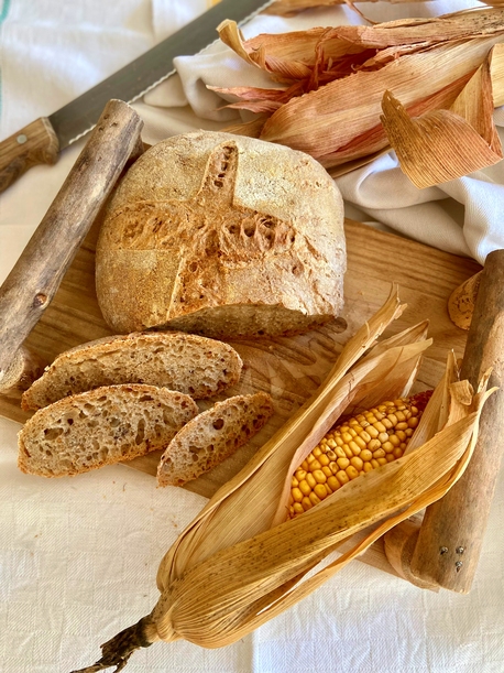 PANE INTEGRALE CON LICOLI, RICETTA DA PROVARE