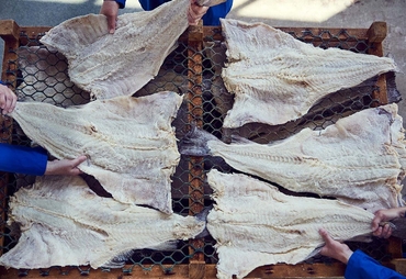 STOCCAFISSO E BACCALÀ NORVEGESI PROTAGONISTI DELLE TAVOLE ITALIANE