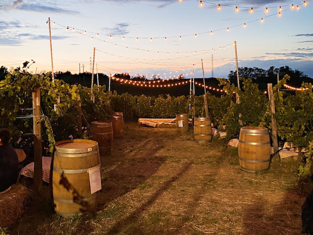 PODERI SAN PIETRO: DEGUSTAZIONE IN CANTINA