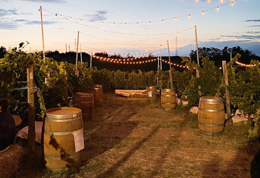 PODERI SAN PIETRO: DEGUSTAZIONE IN CANTINA