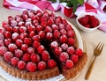 TORTA AI LAMPONI E CREMA AL CACAO E NOCCIOLE